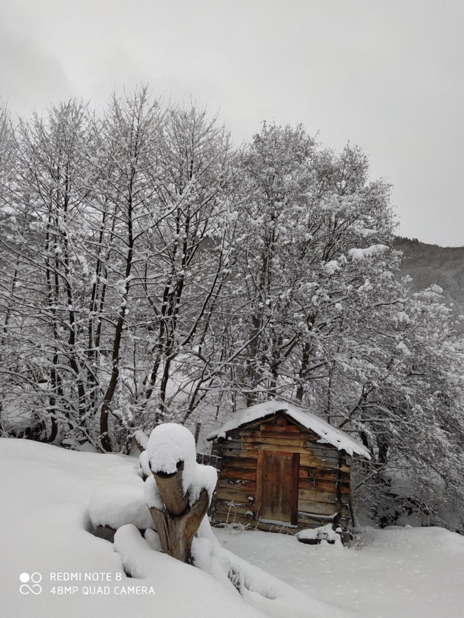 Gujejiani Guest House Местия Экстерьер фото